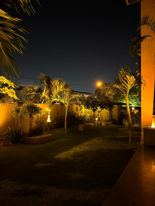 Garden Decorative Lights Lahore