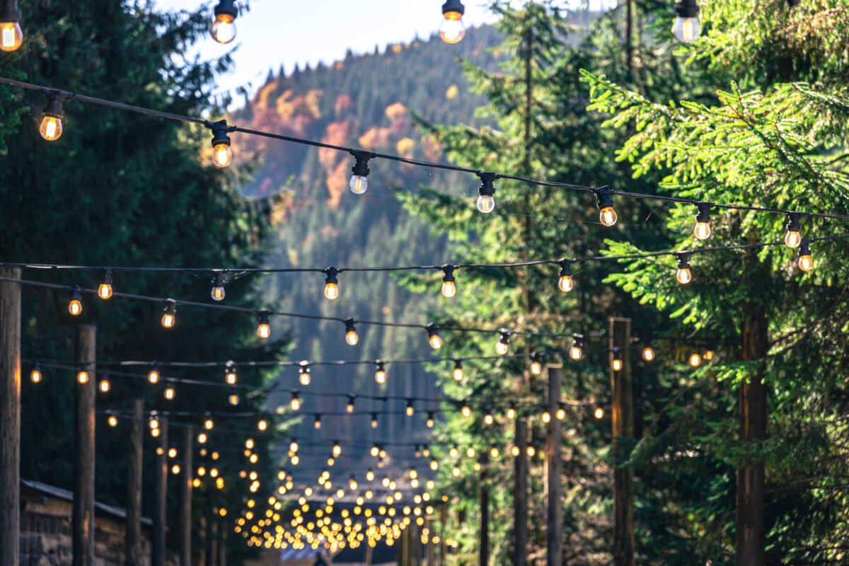 Wedding Fairy Lights in Lahore