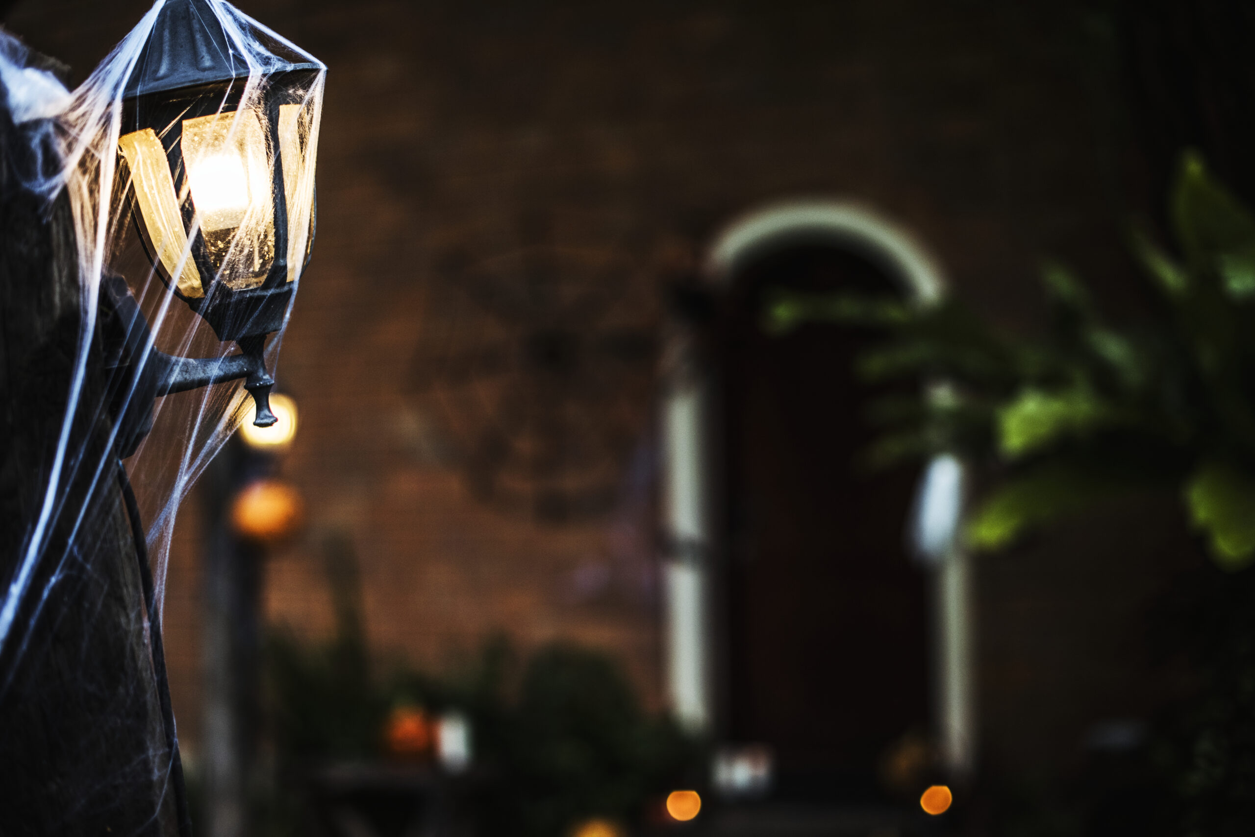 Outdoor Decorative Lights Lahore
